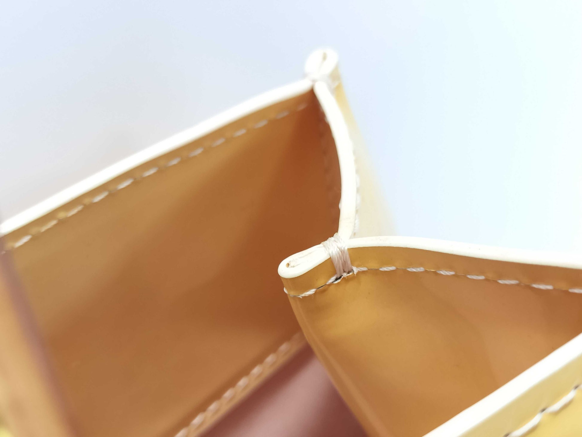 LOUIS VUITTON Vernis Reed PM Handbag