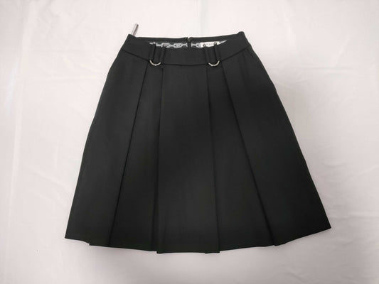 CELINE Wool Flared Skirt SV Hardware Skirt