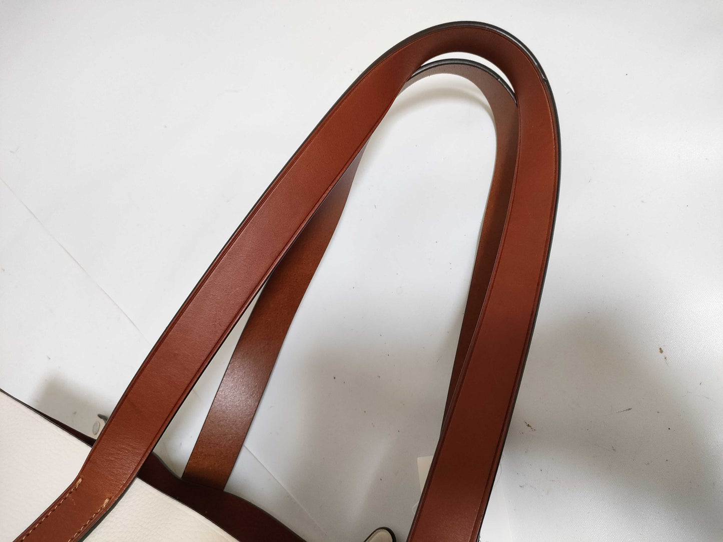 COACH Cosmic Rexy Related Tote CN603 Tote Bag