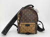 LOUIS VUITTON Monogram Reverse Palm Springs Backpack PM M43116 Rucksack