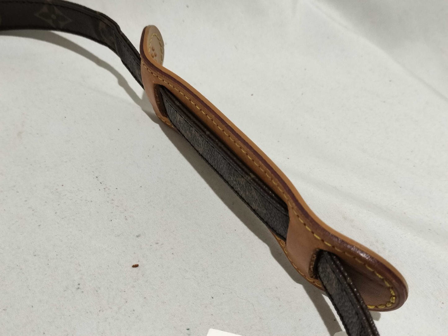 LOUIS VUITTON Monogram M45244 Nile Shoulder Bag