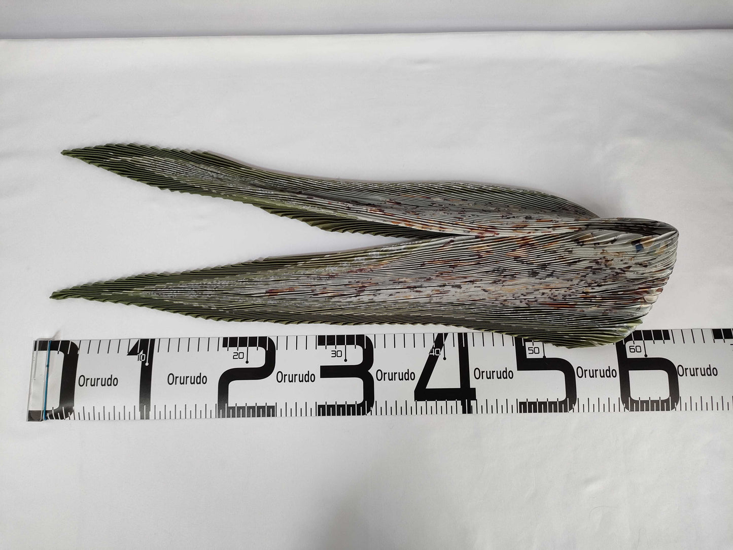 HERMES Green Bird Scarf