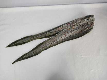 HERMES Green Bird Scarf