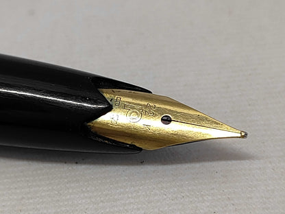 Sailor 21K Fountain Pen and PLATINUM 22K Fountain Pen Set of 2