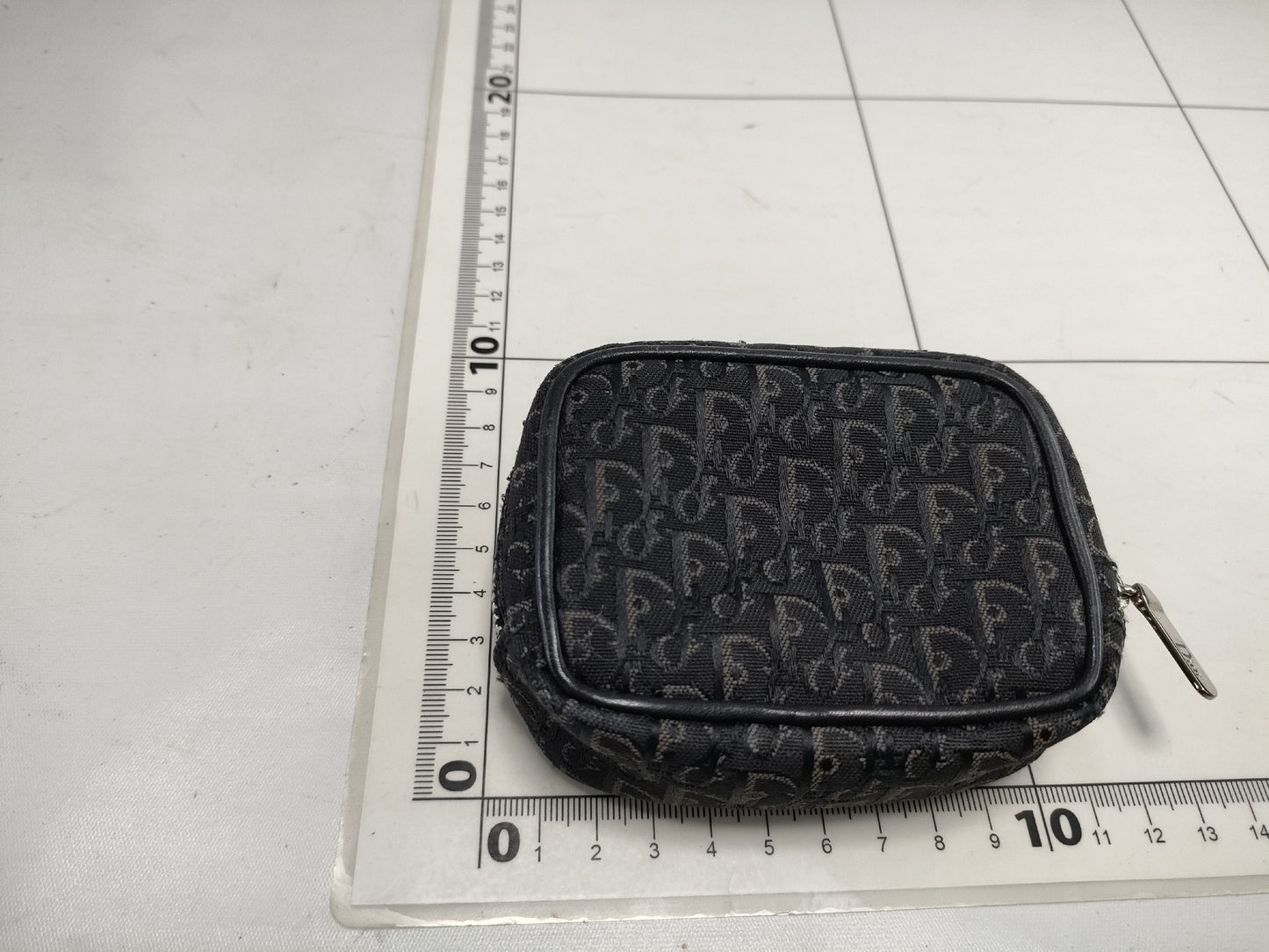 Dior Trotter Mini Pouch