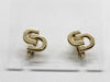 Dior Earrings Earrings