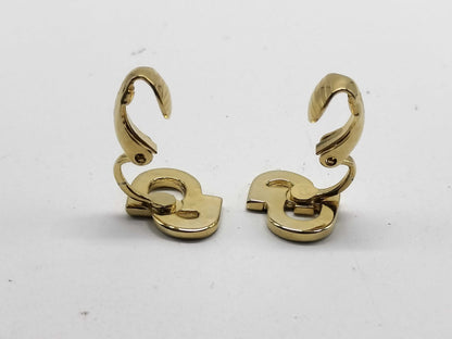 Dior Earrings Earrings