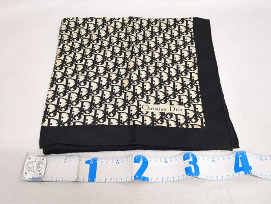 Dior/Burberry Trotter Nova Check Scarf