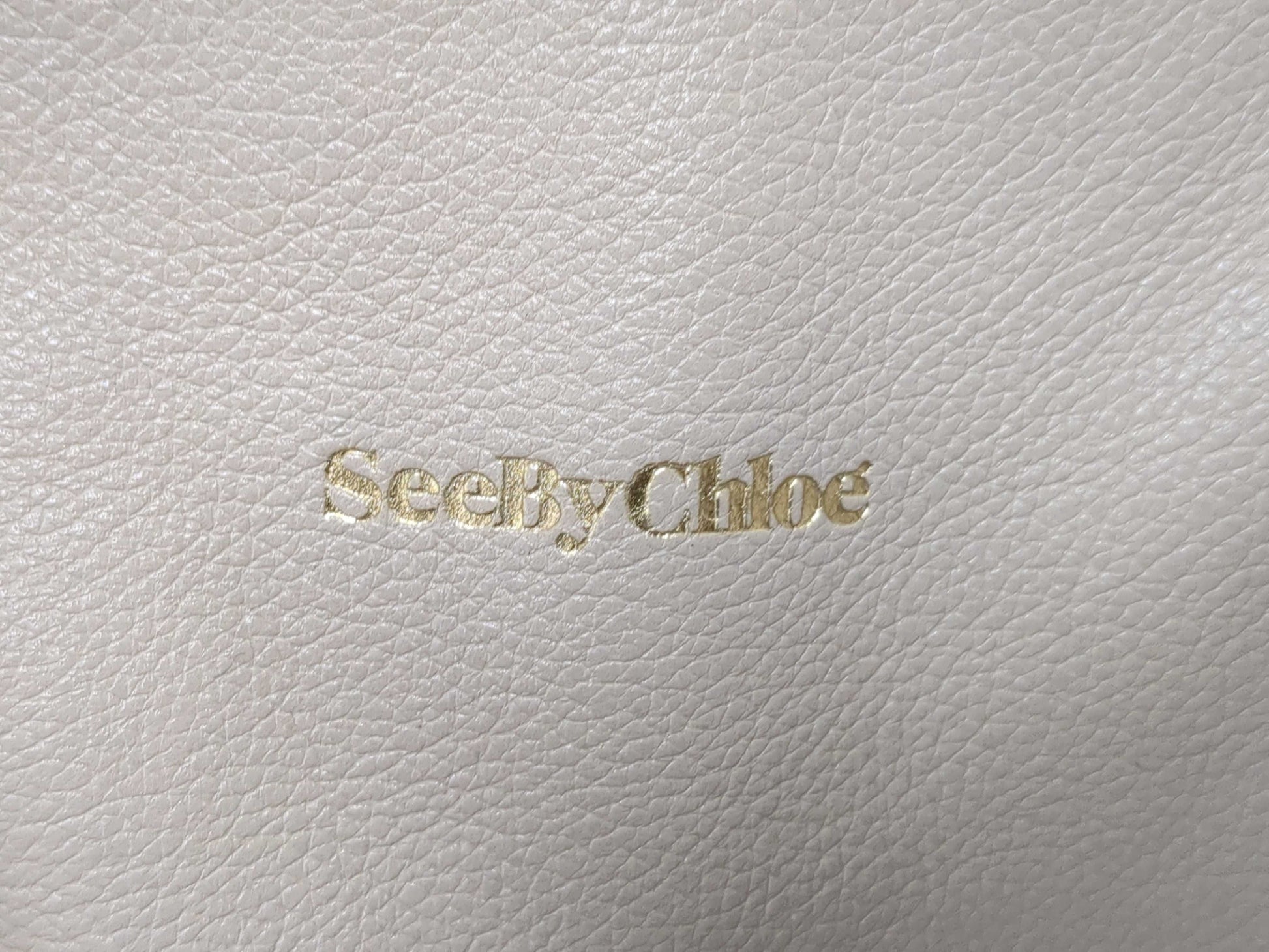 COACH Michael Kors/See by Chloe Shoulder Bag