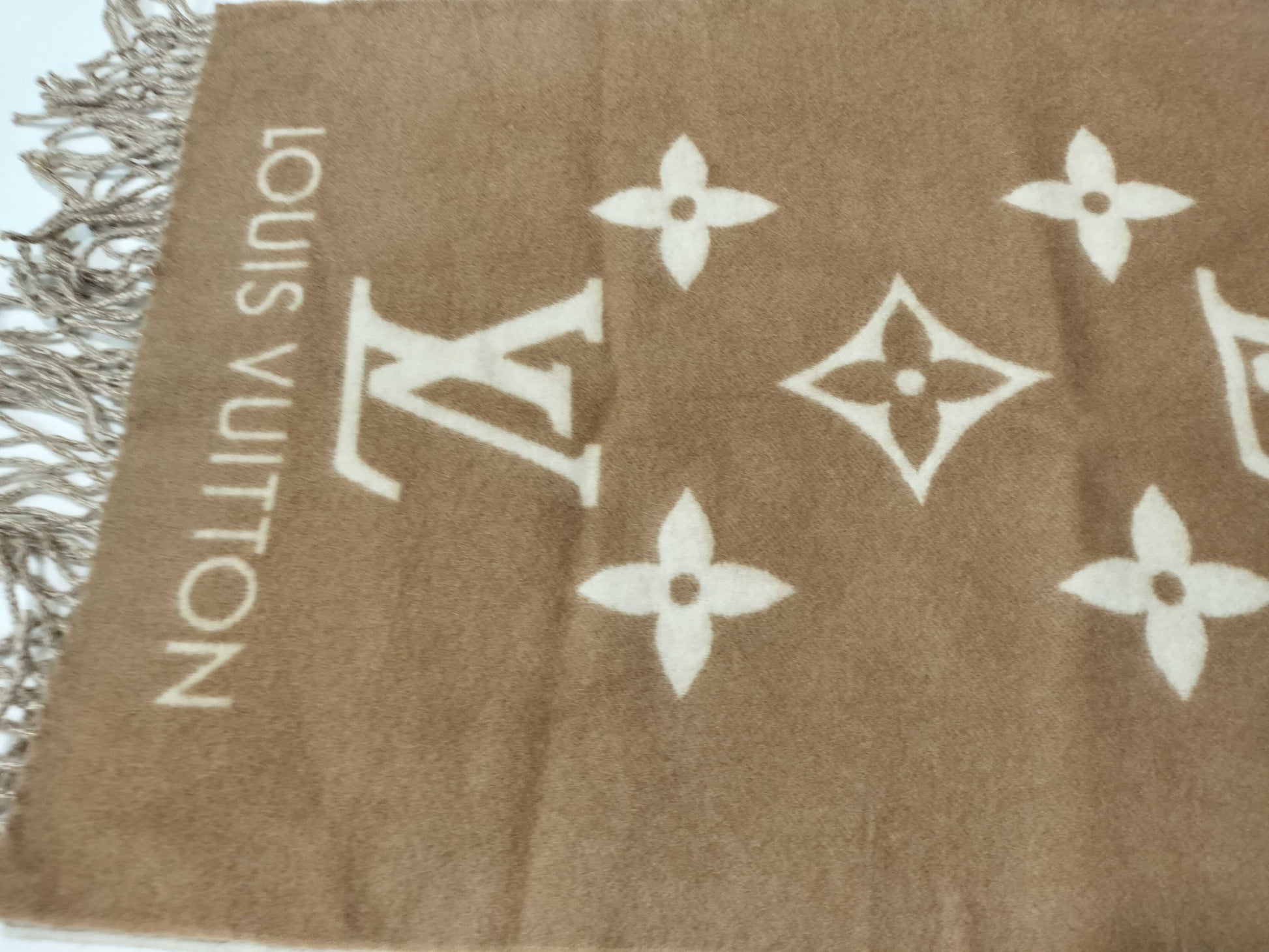 LOUIS VUITTON Monogram Reykjavik Scarf