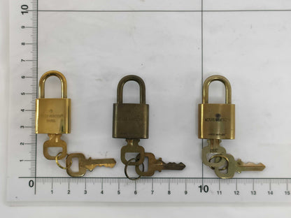 LOUIS VUITTON Padlock 310/323/453 Set Other Accessories