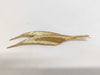 Dior Feather Brooch Brooch