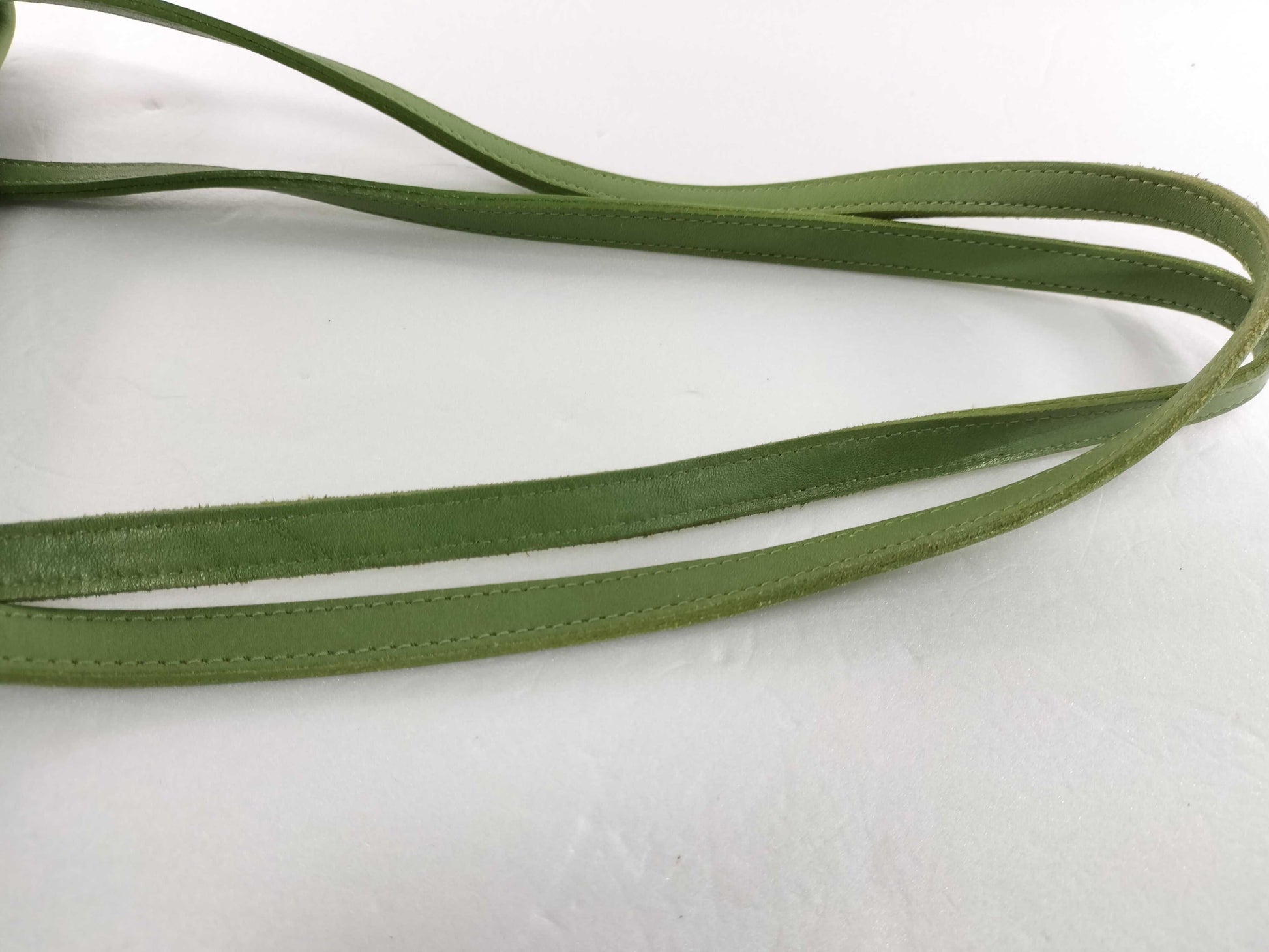 COACH Old Coach Green 3996 Tote Bag