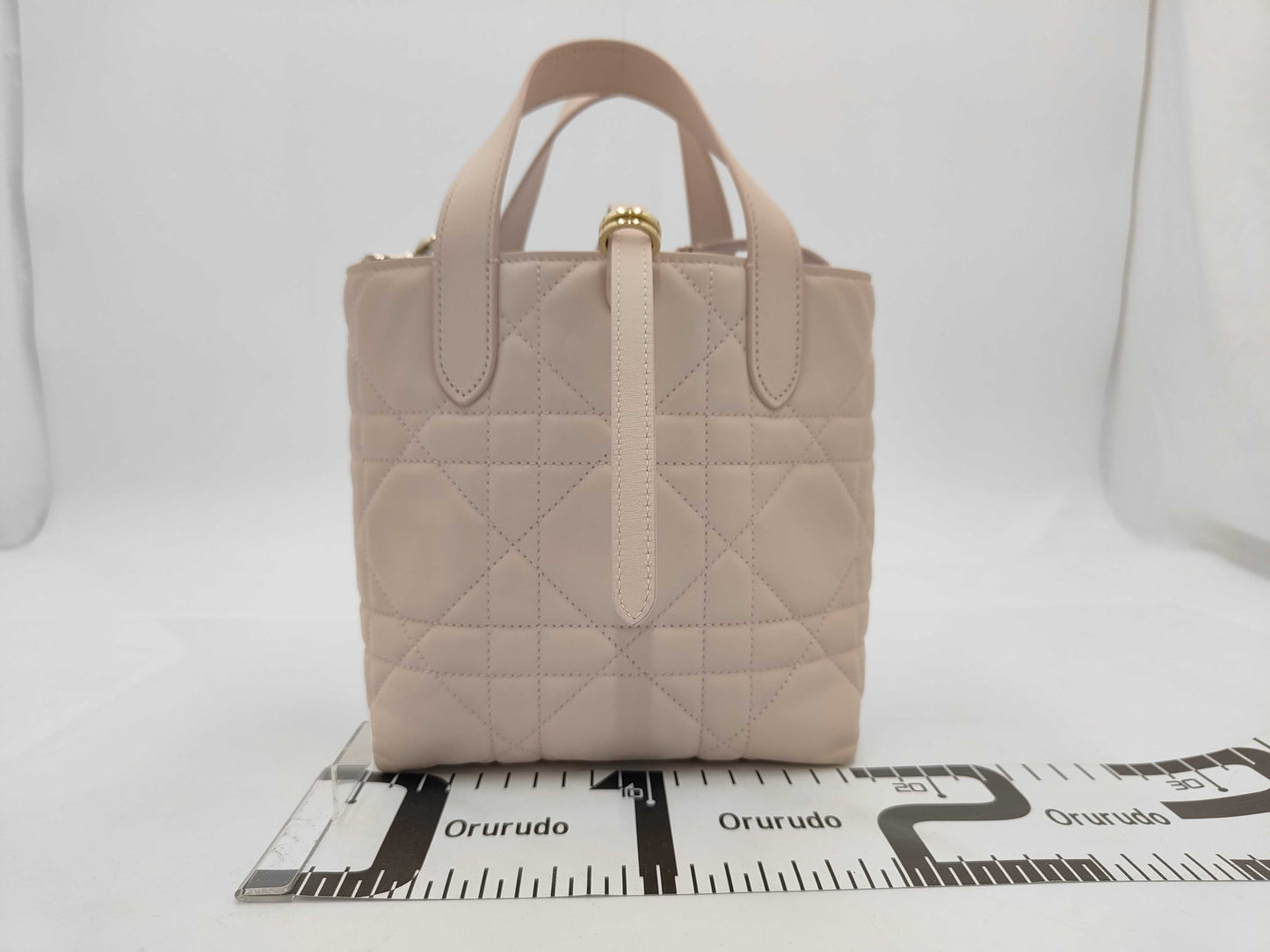 Dior Toujours Vertical Tote Bag / 25 Years Handbag
