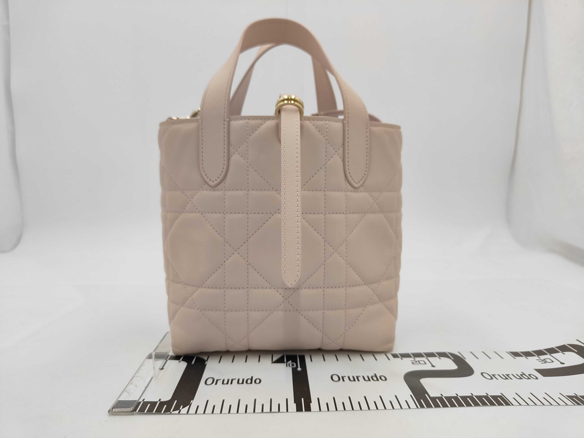 Dior Toujours Vertical Tote Bag / 25 Years Handbag