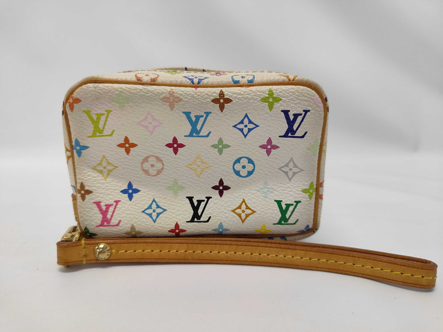 LOUIS VUITTON Pouch Pouch
