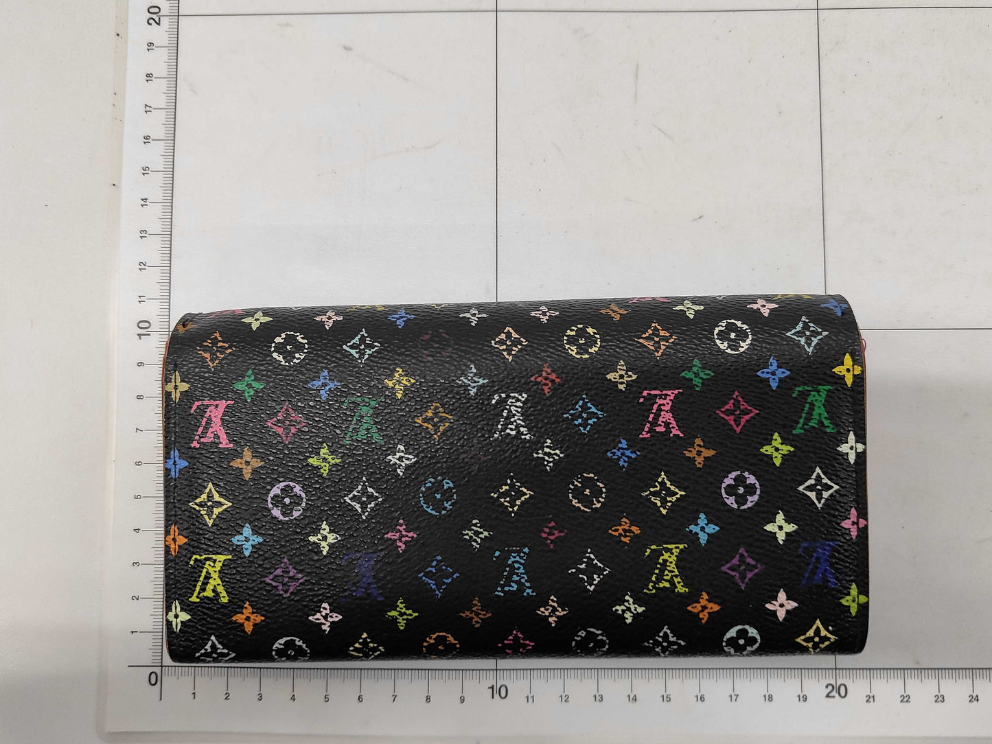 LOUIS VUITTON Multicolor Wallet